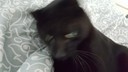 20160917_162653.jpg